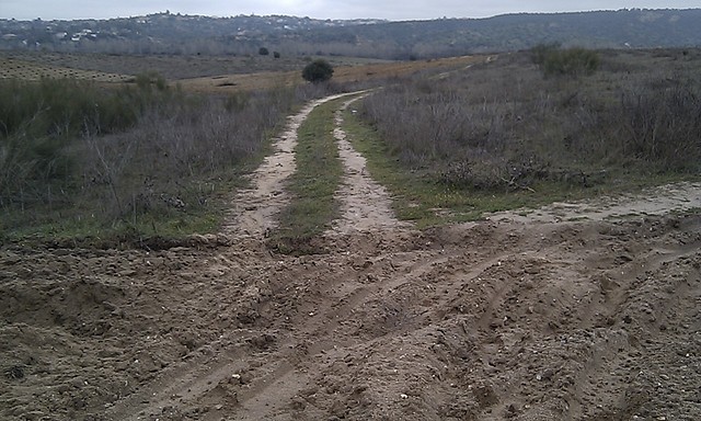 IMAG0071 IMAG0071