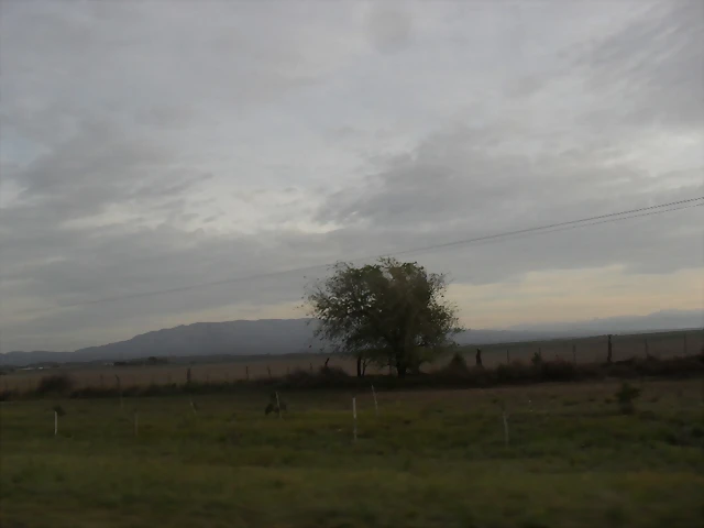 SDC11079