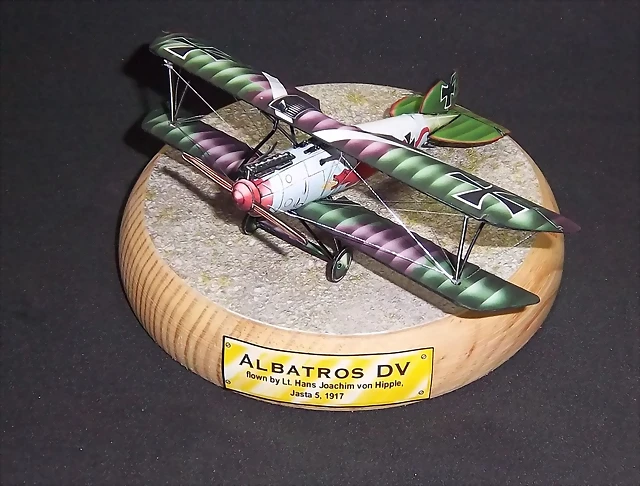 Albatros DV (47) Albatros DV (47)