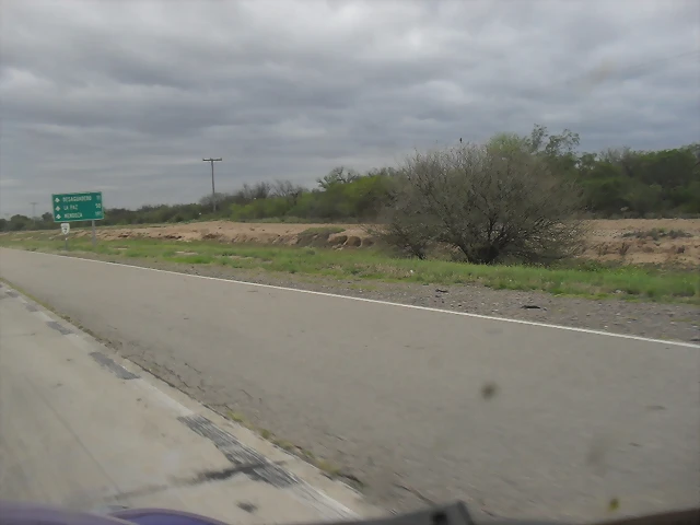 SDC11117 SDC11117