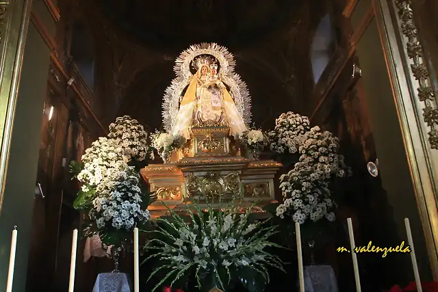 14, la virgen 1, marca