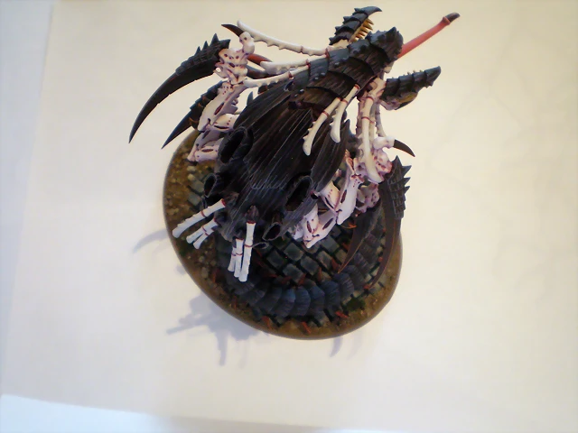 Mawloc Tirnido (7)