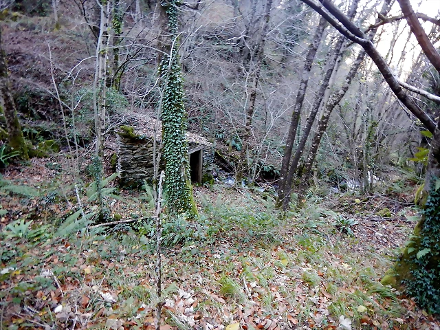 DSCN0135 DSCN0135