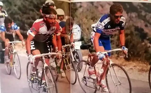 Perico-Reynolds1989-Pino-Lejarreta