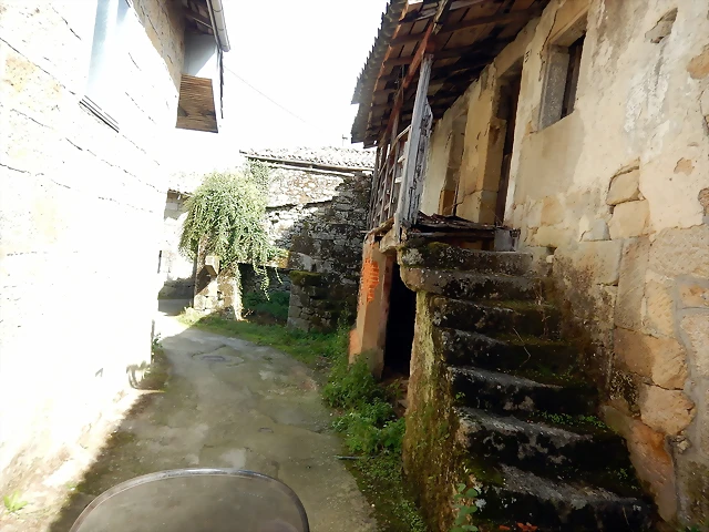 DSCN1355 DSCN1355