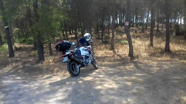 20180825_125937 20180825_125937