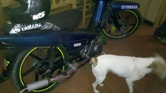 MI YAMAHA SIGMA