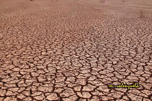 02, desierto en agosto, marca