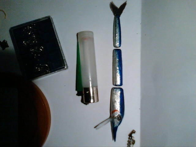 Foto40[1]