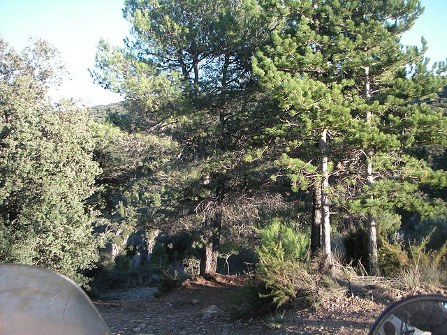 Alcublas PKL 100