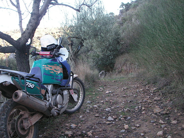 Alcublas PKL 101