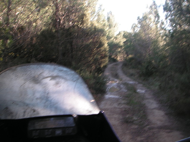 Alcublas PKL 099