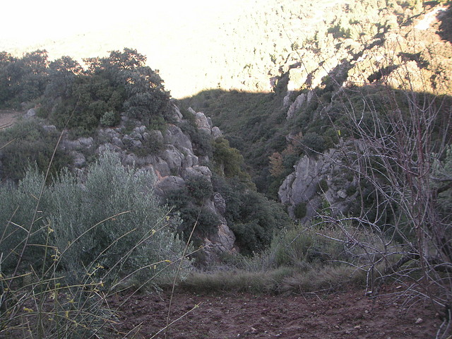 Alcublas PKL 103