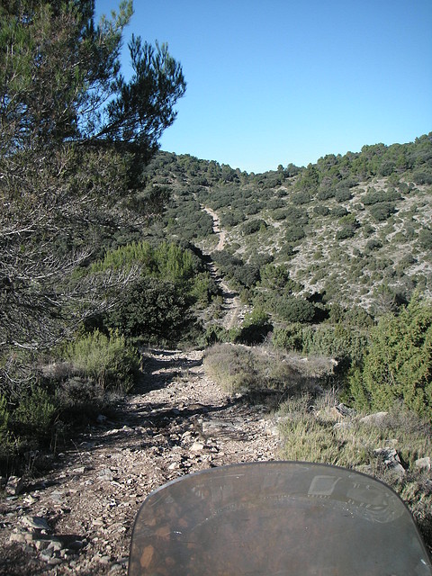 Alcublas PKL 036