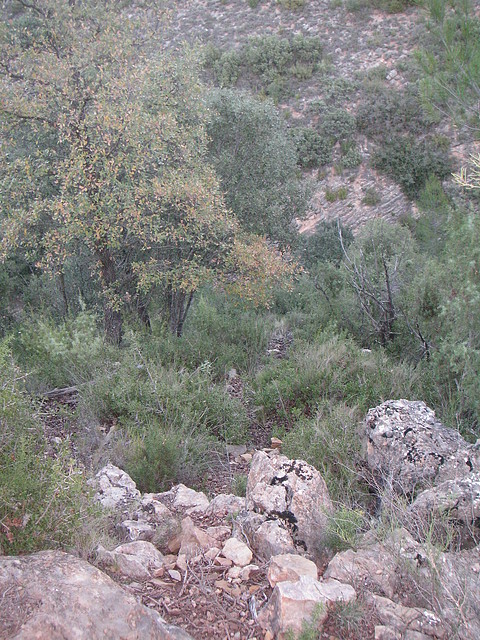 Alcublas PKL 114 Alcublas PKL 114