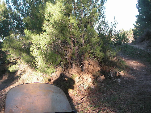 Alcublas PKL 097