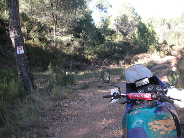 Alcublas PKL 029
