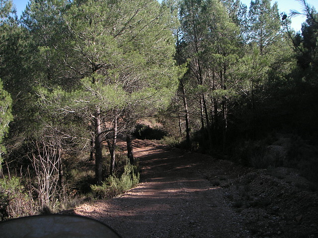 Alcublas PKL 028