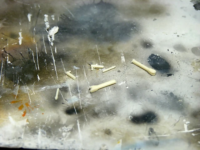 P1070078