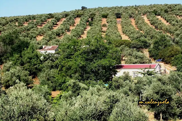 01, cortijo en los membrillos, marca 2