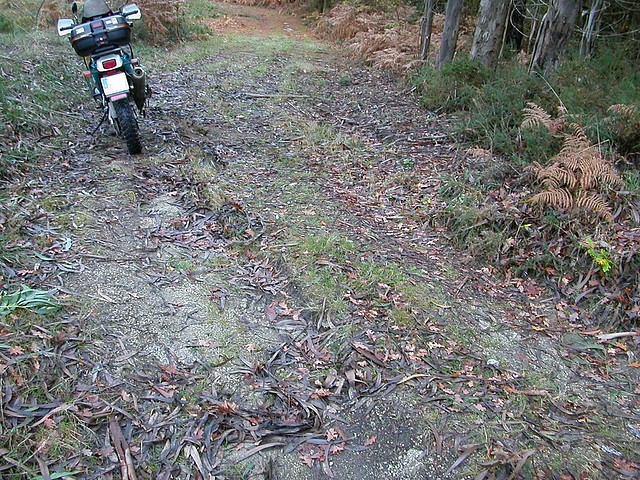 DSCN9874 DSCN9874