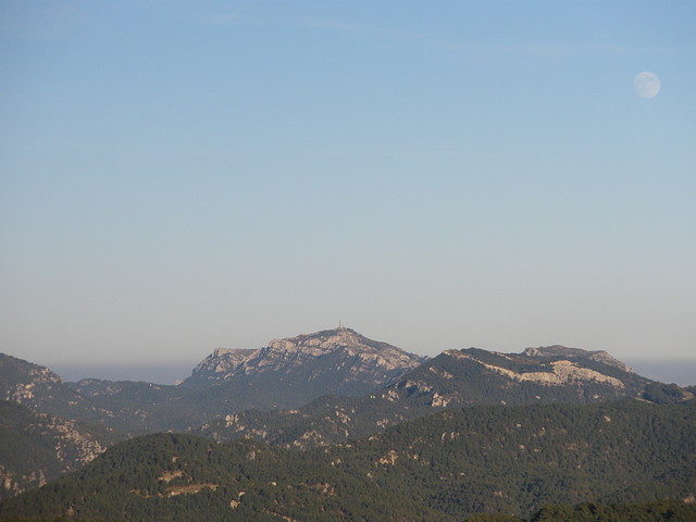 PC080026 PC080026
