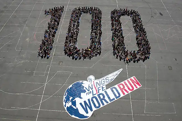 sillon-tencico-deportes-Wings-for-Life-World-Run