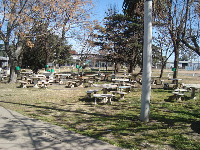 DSC09339 DSC09339