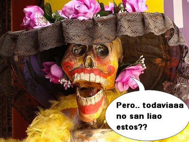 todaviaaaaa todaviaaaaa