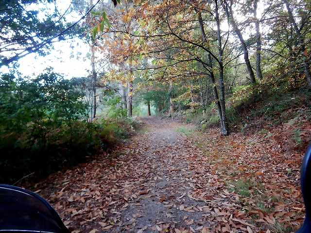 DSCN3736 DSCN3736
