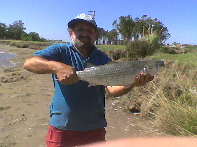 2 clase pesca d lisas:Sergio y Jorge AUSENTES