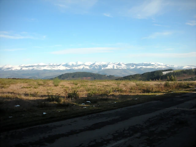 DSCN2504 DSCN2504