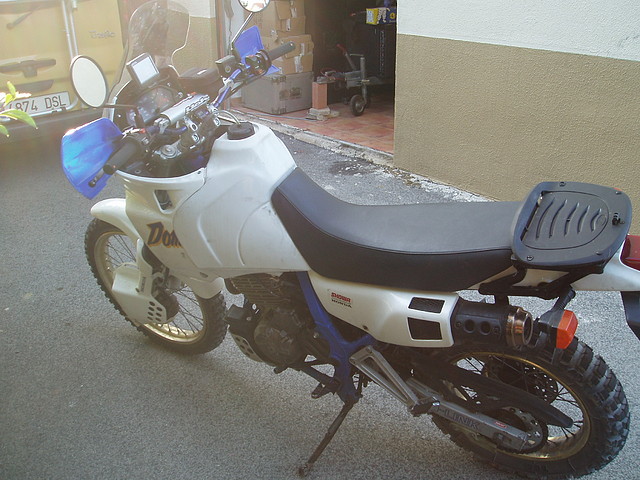 domiacerbis (9) domiacerbis (9)