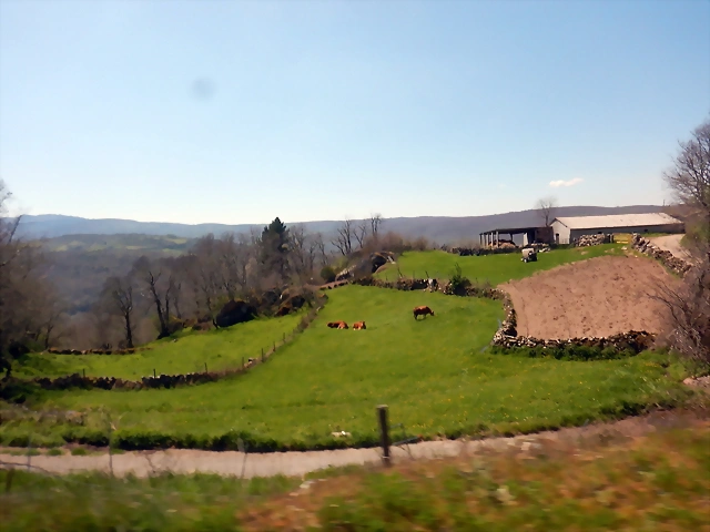 DSCN5684