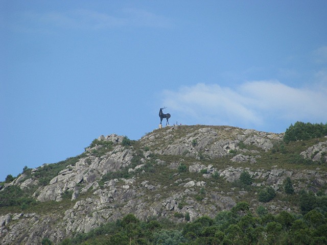 IMG_4945 IMG_4945