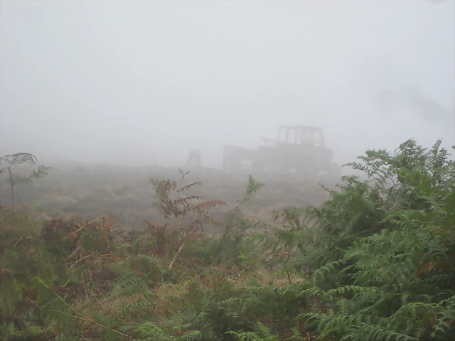 IMG_0222 IMG_0222