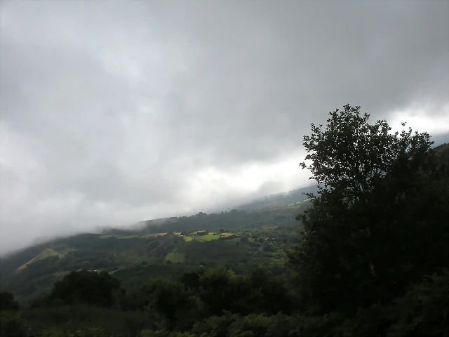DSCN4795 DSCN4795