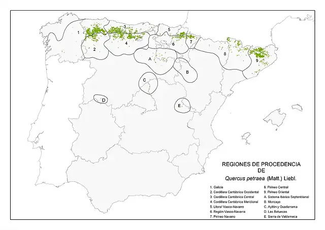 map_Quercus_petraea_tcm7-285942