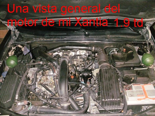 P8090009 P8090009