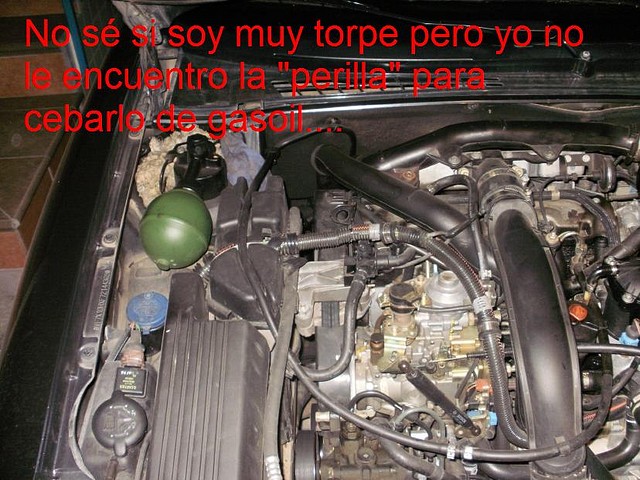 P8090010 P8090010