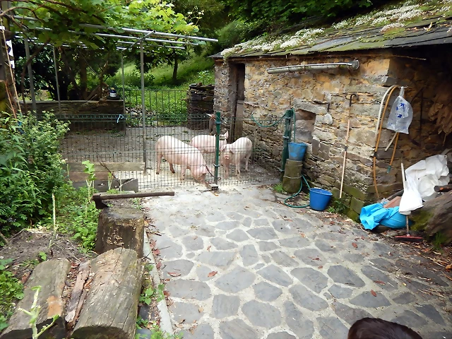 DSCN1588 DSCN1588