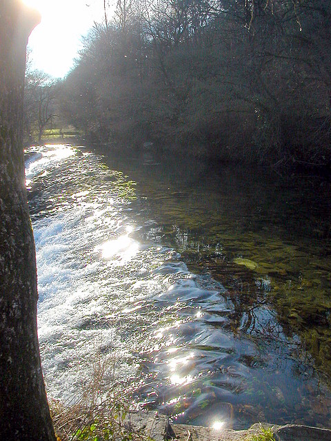 DSCN5774 DSCN5774
