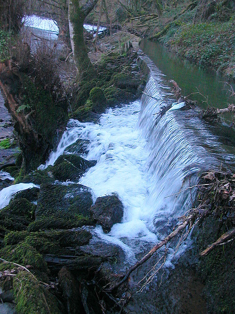 DSCN5790 DSCN5790