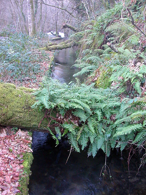 DSCN5788 DSCN5788