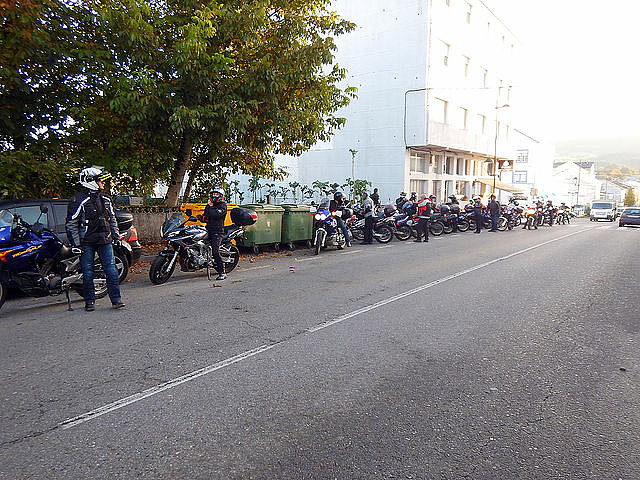 pulpo2