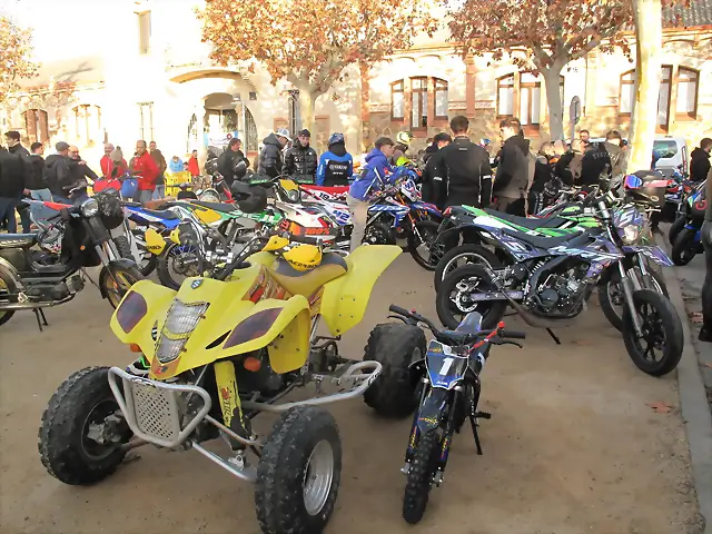 IMG_1647 IMG_1647