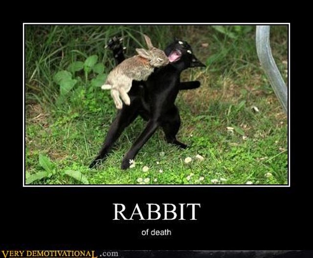 demotivational-posters-rabbit