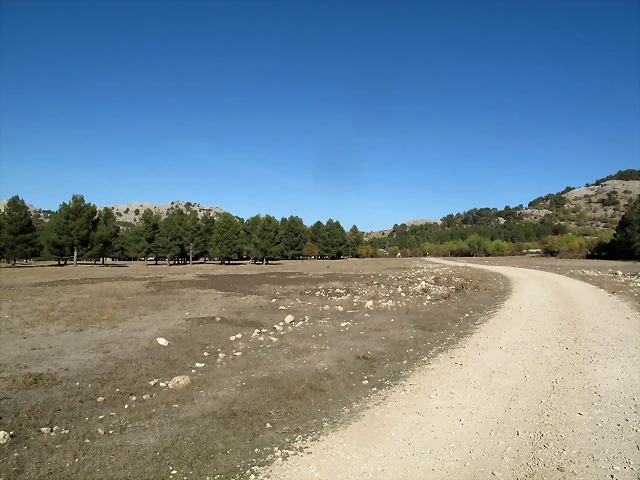 A54 A54