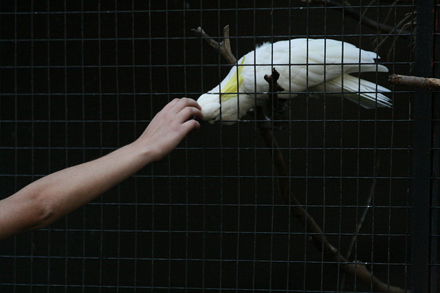 Zoo de Barcelona 29-09-2010 540 Zoo de Barcelona 29-09-2010 540