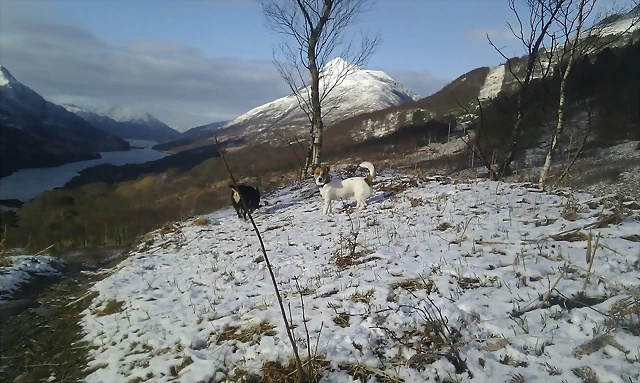 Kinloch nevat Kinloch nevat